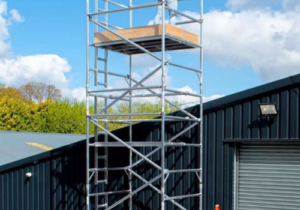 Scaffold